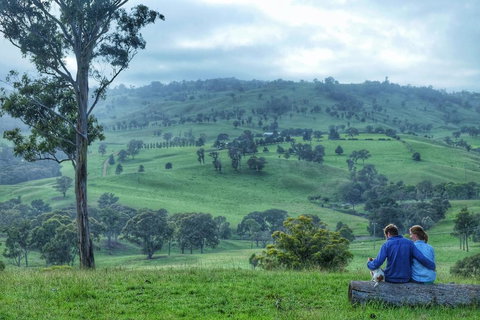 Waterfall Way Farmstay - Suburb Australia 2