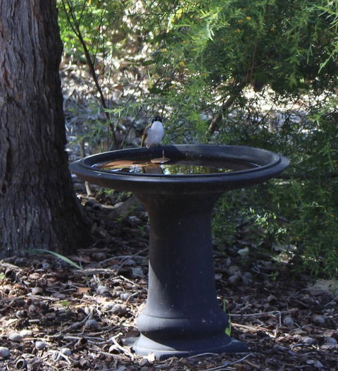 Waterside View - Suburb Australia 3