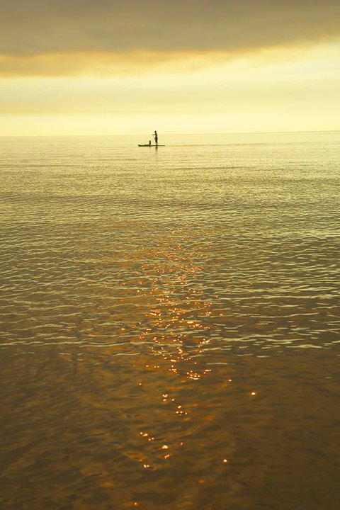 White Caps B&B Apartment - Suburb Australia 3