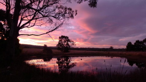 Wind Song Bed & Breakfast - Suburb Australia 0