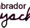Labrador Playschool - Suburb Australia