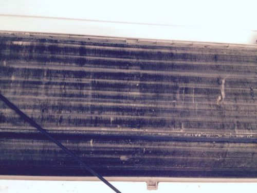 Solar Panel Cleaning Maintenance Bundaberg QLD Suburb Australia