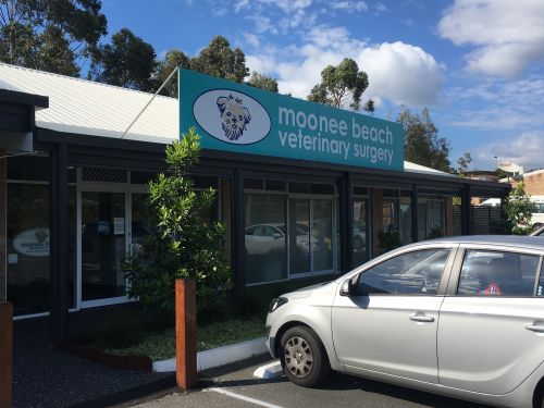 Vets Moonee Beach NSW Suburb Australia