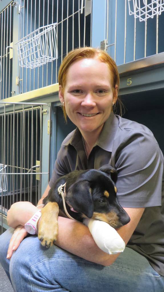 Vets Grafton NSW Suburb Australia