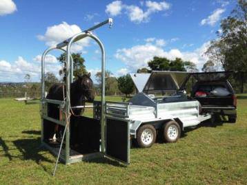 Tamworth Veterinary Hospital - Suburb Australia 1