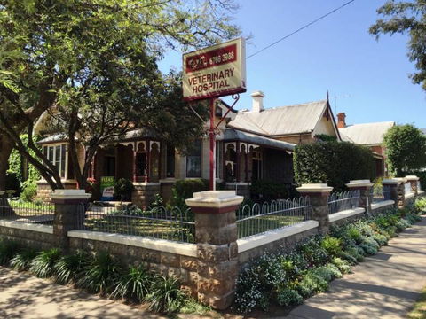 Tamworth Veterinary Hospital - Suburb Australia 2