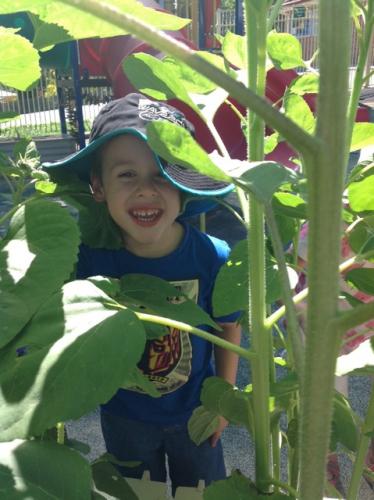 Central Gardens Child Care Pre School - Suburb Australia 2