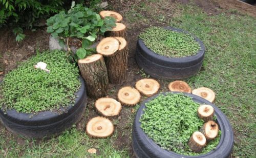 Child Care Centres Preschools Warners Bay NSW Suburb Australia