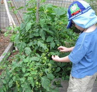 Parklands Community Preschool Kariong - Suburb Australia