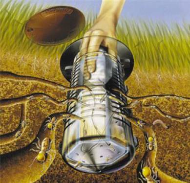 Natural Pest Control - Suburb Australia 0