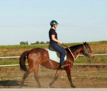 Concise Equestrian Centre - Suburb Australia 3