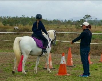 Concise Equestrian Centre - Suburb Australia 4