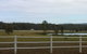 Arizona Horse Agistment Centre - thumb 0