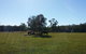 Arizona Horse Agistment Centre - thumb 1