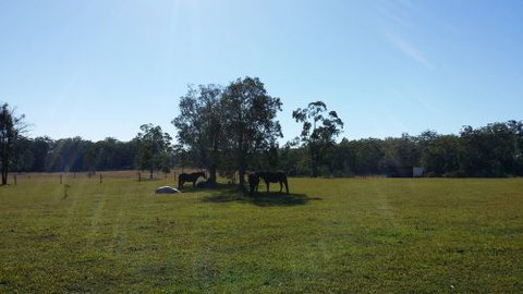 Arizona Horse Agistment Centre - Suburb Australia 1