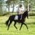 Spirit Lodge Equestrian Centre - Suburb Australia 1