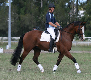 Spirit Lodge Equestrian Centre - Suburb Australia 3