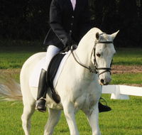 Encantador The Riding School - Suburb Australia