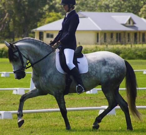 Encantador The Riding School - Suburb Australia 1