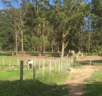 Merrypark Equestrian Centre - Suburb Australia