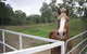 Townsville Agistment - thumb 2