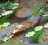 Honeybee Preschool - Suburb Australia