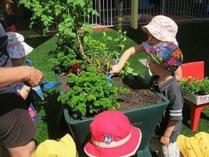 Nurseries Garden Centres Noosaville QLD Suburb Australia