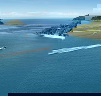 Qualia - Suburb Australia