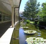 ANU University House Hotel - Suburb Australia