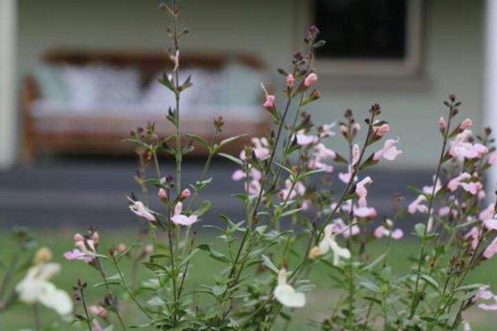 Lewinsbrook ACT Suburb Australia