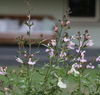 Serendipity on Allyn - Suburb Australia