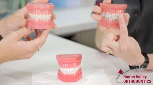 Dentists Maitland NSW Suburb Australia
