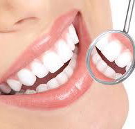 Fenton Dental Mooloolaba - Suburb Australia