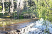 Avocados Accommodation