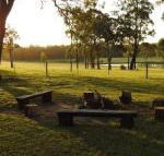 Wallaby Cottage cute Accom in bushland setting - Suburb Australia