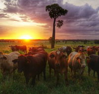 Myella Farm Stay - Suburb Australia