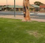 Lake Albert Motel - Suburb Australia