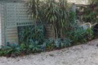 Cobden Crest Cottages