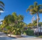Mollymook Caravan Park - Suburb Australia