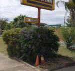 Golden West Motor Inn - Suburb Australia