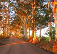 Innisfree Mountain Retreat - Suburb Australia