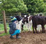 Manderley Park Farmstay B  B - Suburb Australia