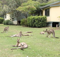 Depot Beach Cabins - Suburb Australia