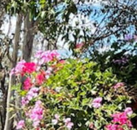 Crows Nest Motel - Suburb Australia