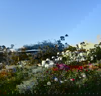 Labertouche Gypsy Creek Winery - Suburb Australia