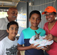 Holiday Haven Burrill Lake - Suburb Australia
