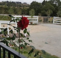 Silverbirch Cottage Loch - Suburb Australia