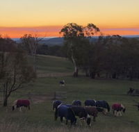 High Country Trail Rides  Farm Stay - Suburb Australia