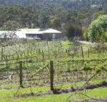 Eureka Farm - Suburb Australia