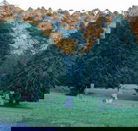Escape to the Country - Enjoy the Firepit or Explore Magical Bunya Mountains - Suburb Australia